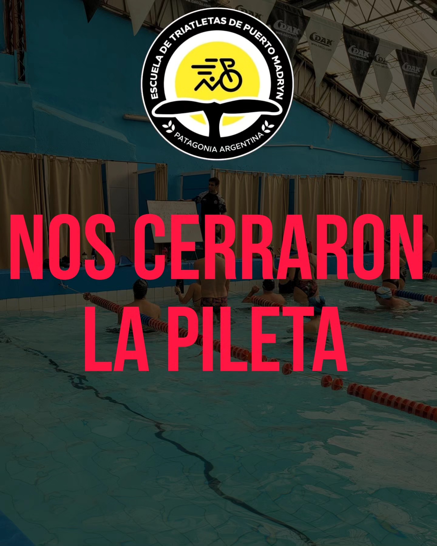 ALGO HUELE A PODRIDO EN LA PILETA