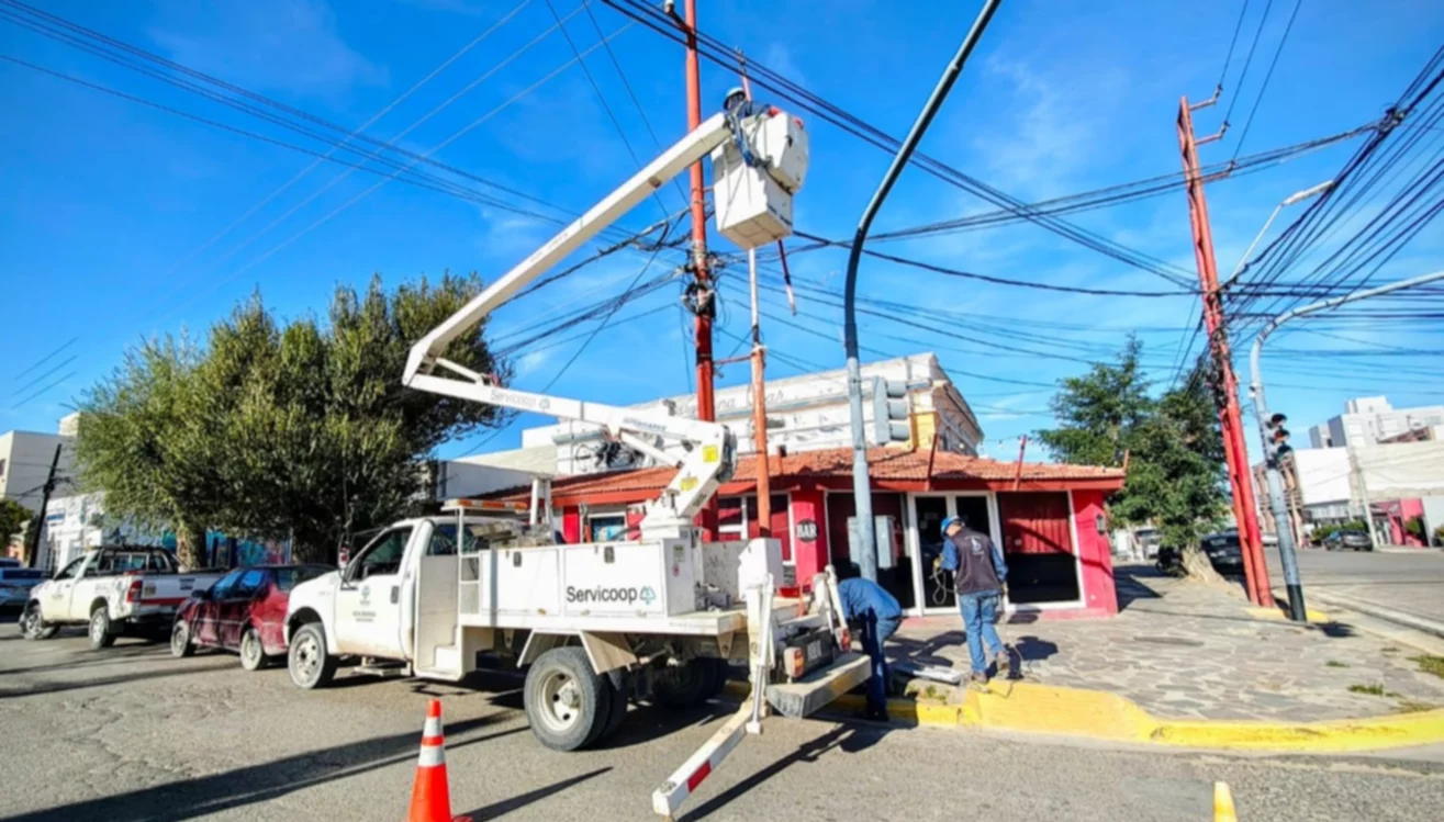 UN AVE CAUSÓ UN APAGÓN