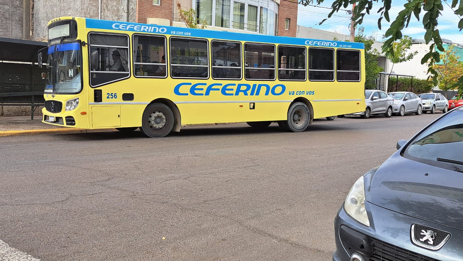 LA LÍNEA 6 DE CEFERINO NO INGRESARÁ A SOLANAS