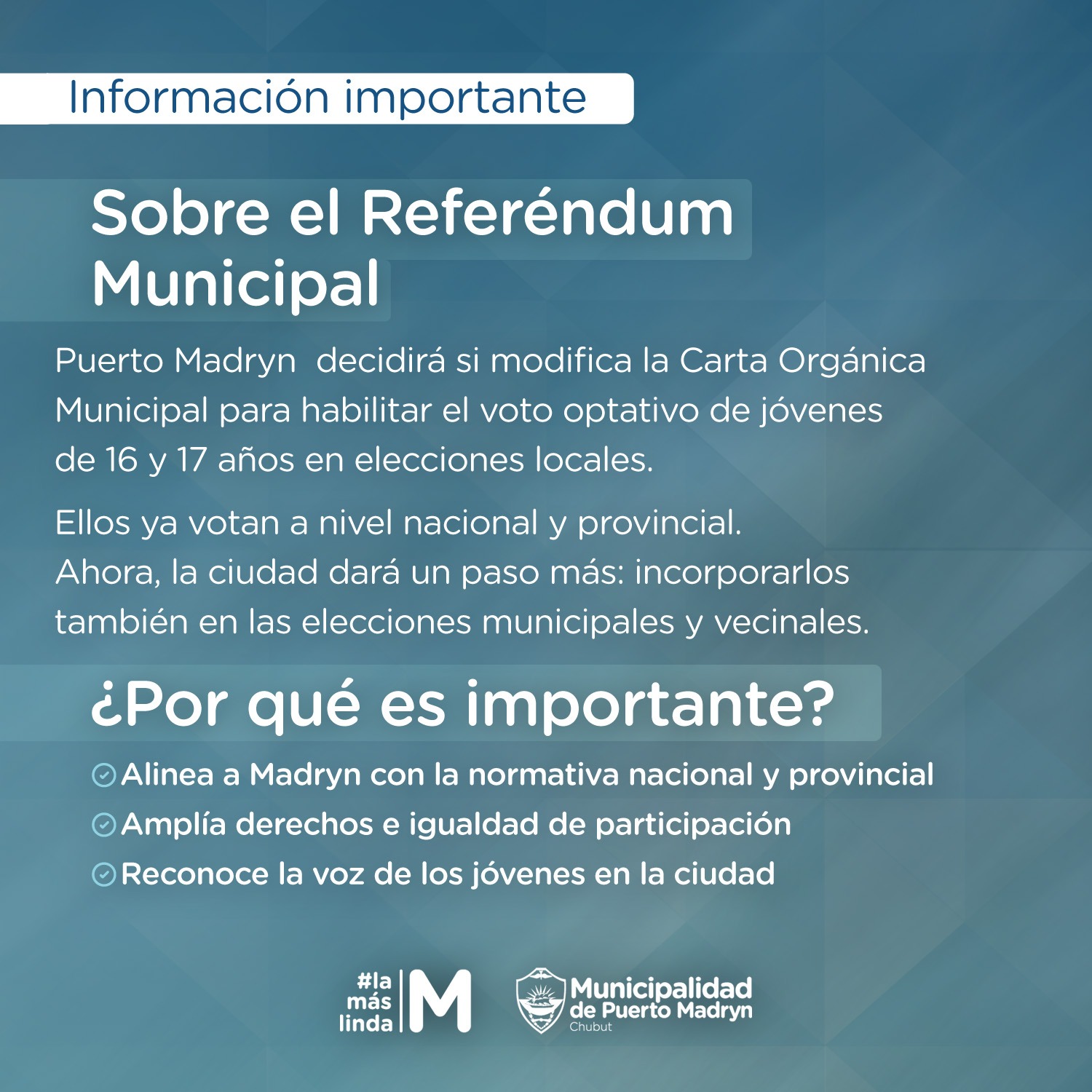 ¿QUE SE VOTA EN MADRYN?