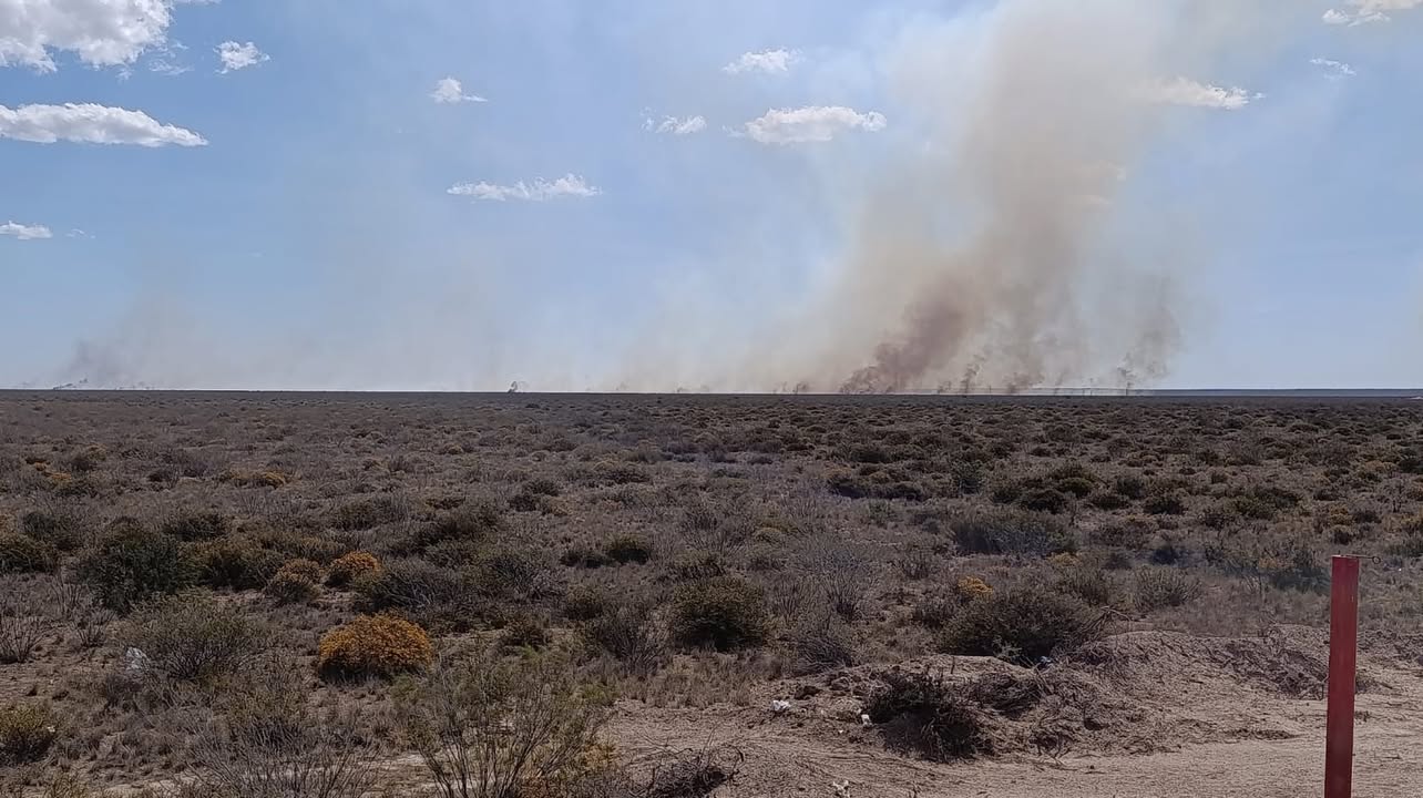 INCENDIO EN RUTA 1