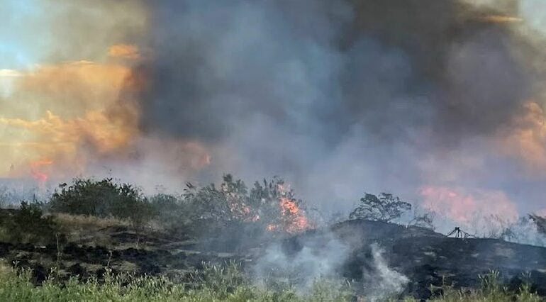 BAJO SIMPSON: EL FUEGO AVANZA SEGUNDA DOTACIÓN SALE DE URGENCIA