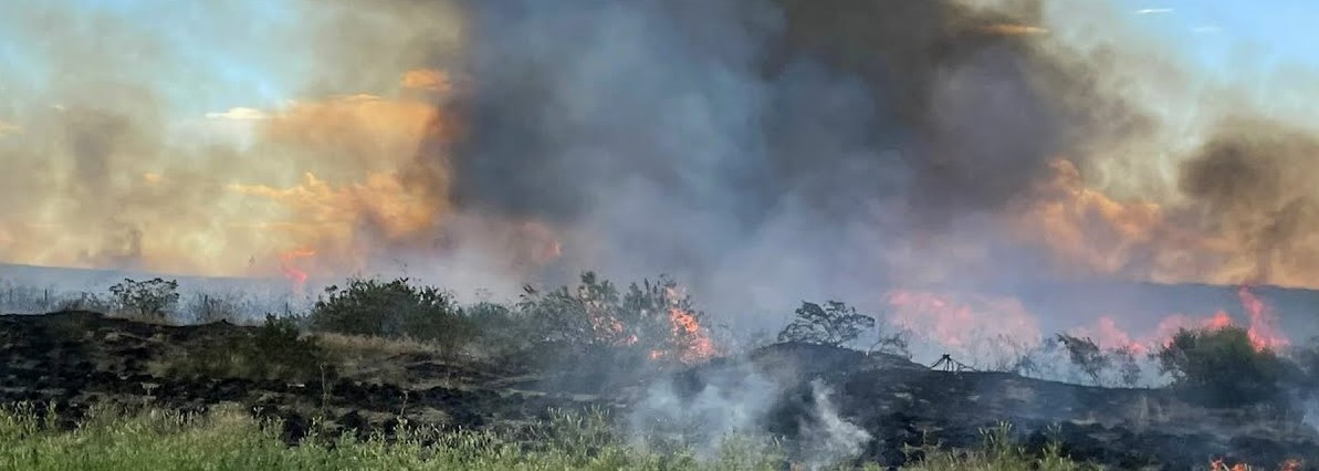 BAJO SIMPSON: EL FUEGO AVANZA SEGUNDA DOTACIÓN SALE DE URGENCIA