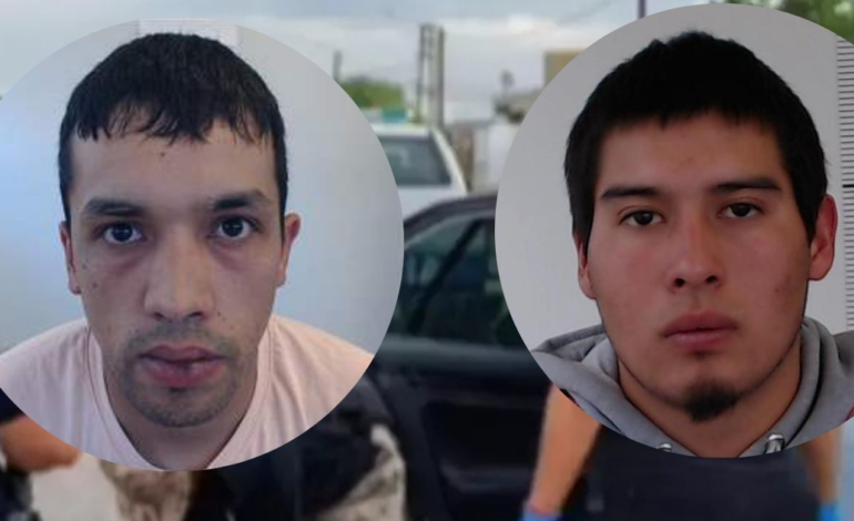 QUEDARON PRESOS LOS LADRONES DE OVEJAS