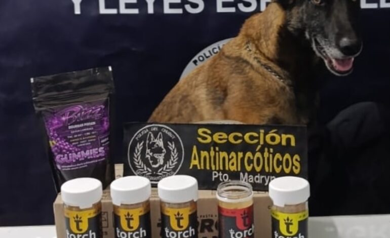 GOMITAS DE MARIHUANA