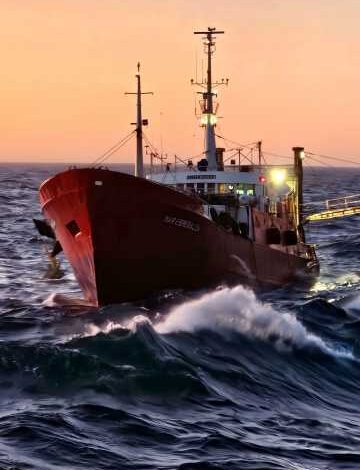 DESESPERADA BÚSQUEDA DE UN MARINERO