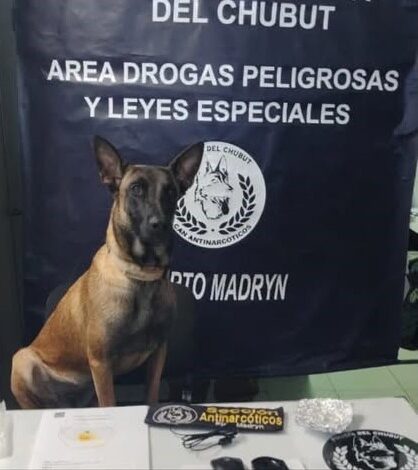 MAFIA DE USUREROS